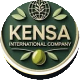 Kensa logo